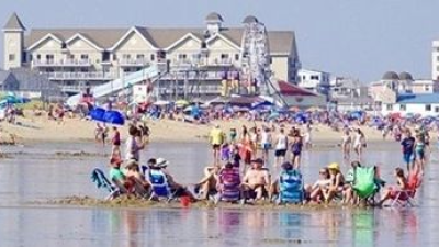 a group of people swimming in the water