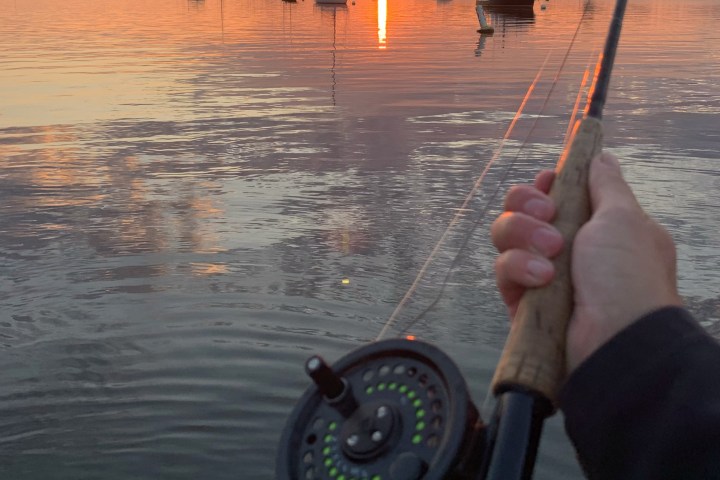 Person holding fishing rod at sunset on calm water with boats in distance.