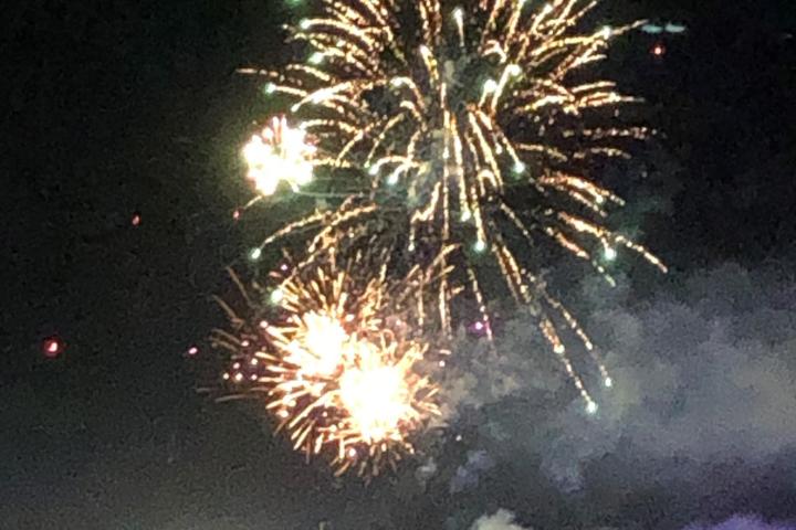 fireworks in the night sky