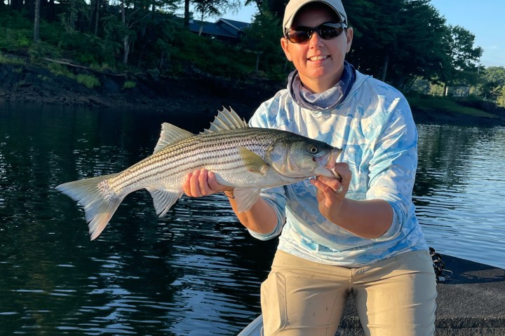 Person in sunglasses on a boat holding a large fish, with trees and water in the background.