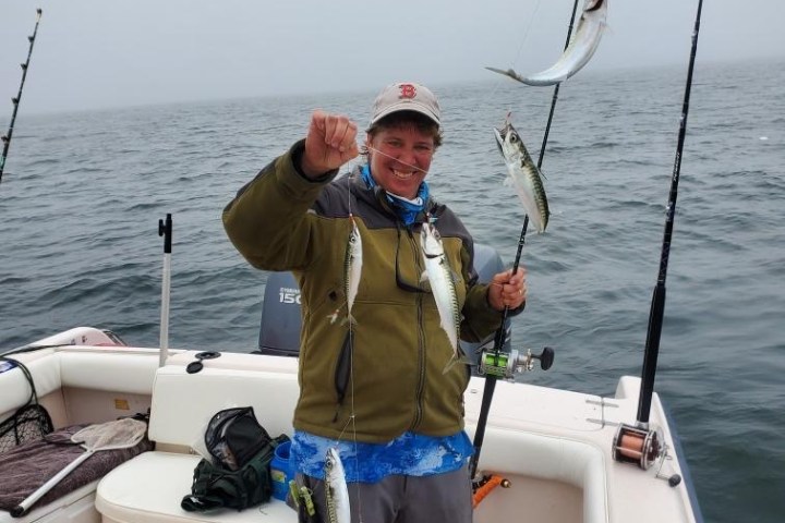 Person on a boat holding a fishing line with multiple small fish caught.