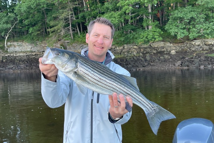 Person holding a large fish by a river with trees in the background.