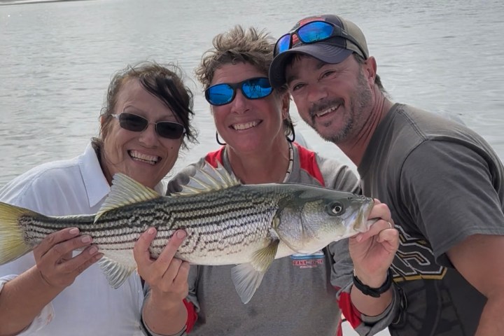 Three people smiling while holding a large striped fish on a boat with water and shoreline in the background.