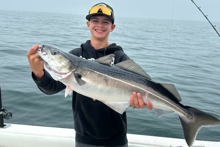 Person in a cap holding a large fish on a boat, with a cloudy sea in the background.