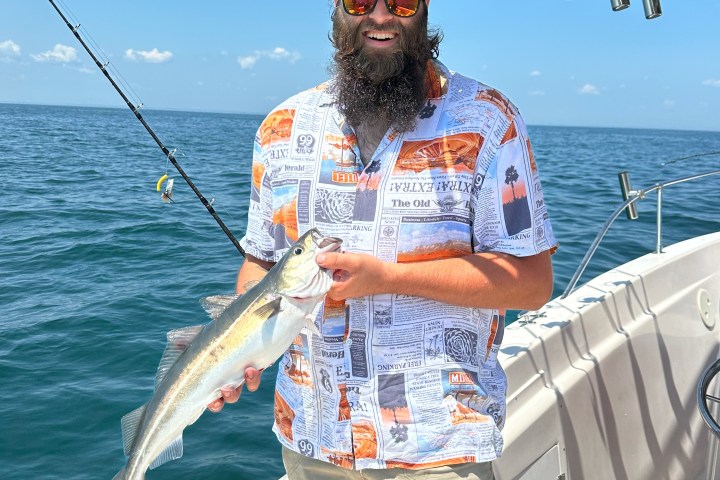 Person in a colorful shirt holding a fish on a boat in the ocean.
