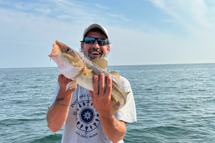 Person holding a large fish on a boat with the ocean in the background.