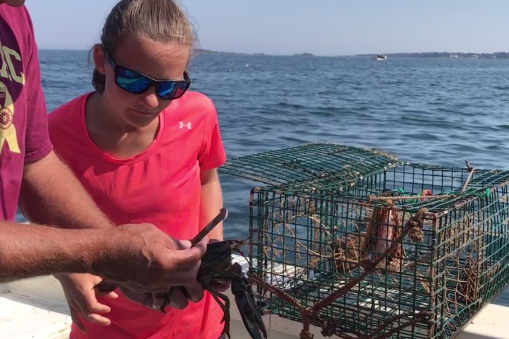 a man standing on a boat in the water