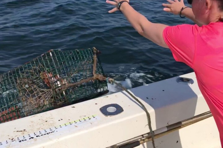 a person standing on a boat