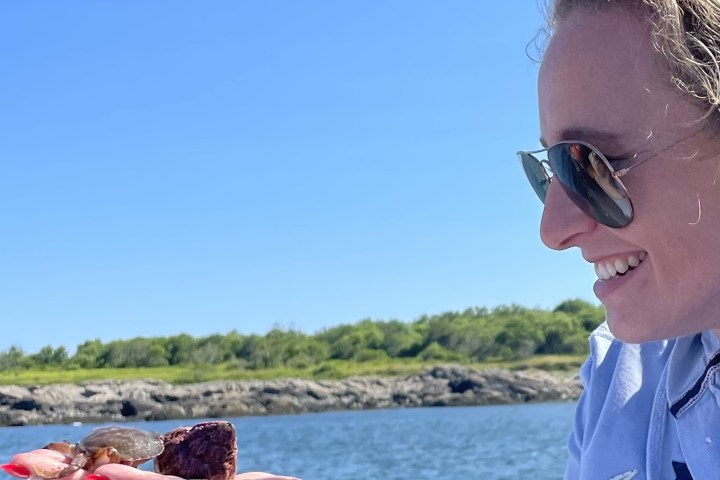 a person standing next to a body of water