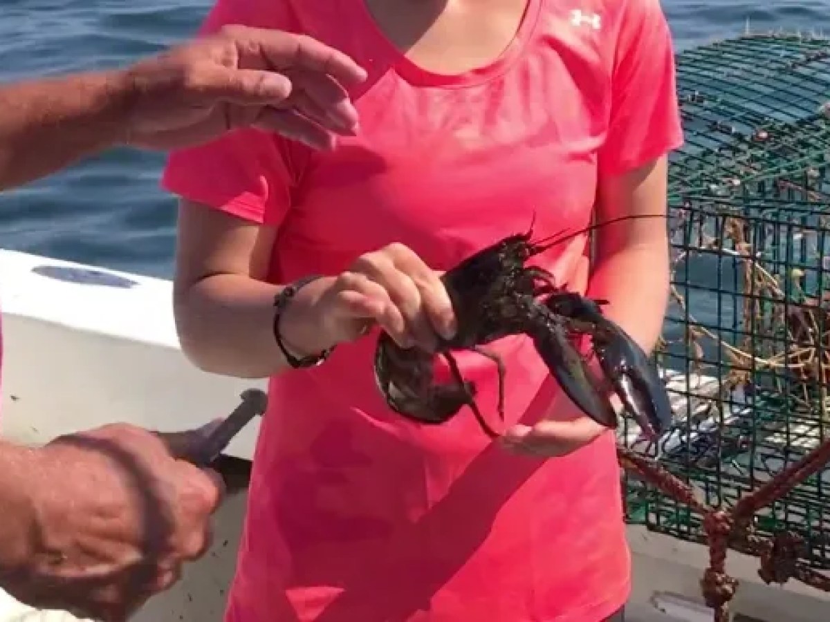 Woman holding lobster
