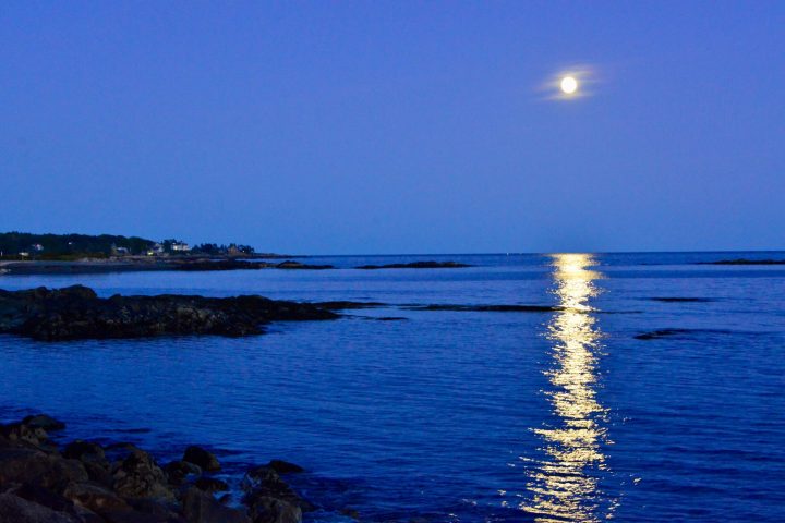 a large body of water