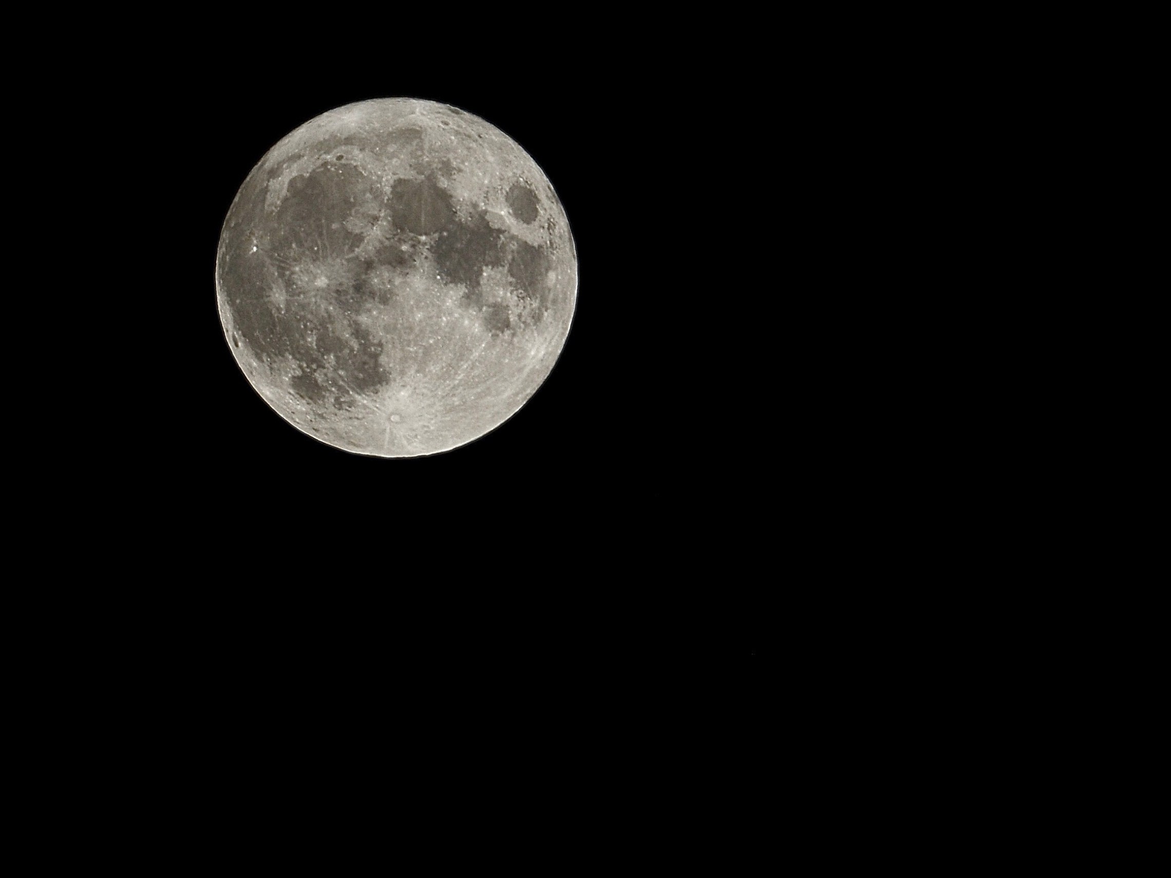 a close up of a logo