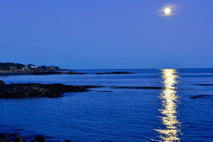 a large body of water