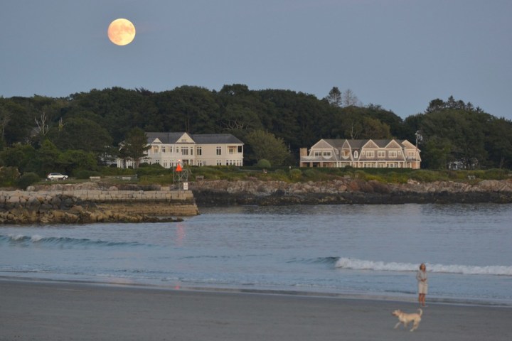 a group of people on a beach near a body of water
