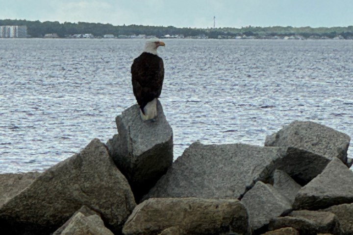 a person sitting on a rock next to a body of water