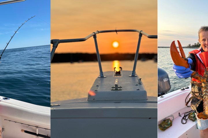 Collage: woman fishing, sunset on boat, person holding large lobster.