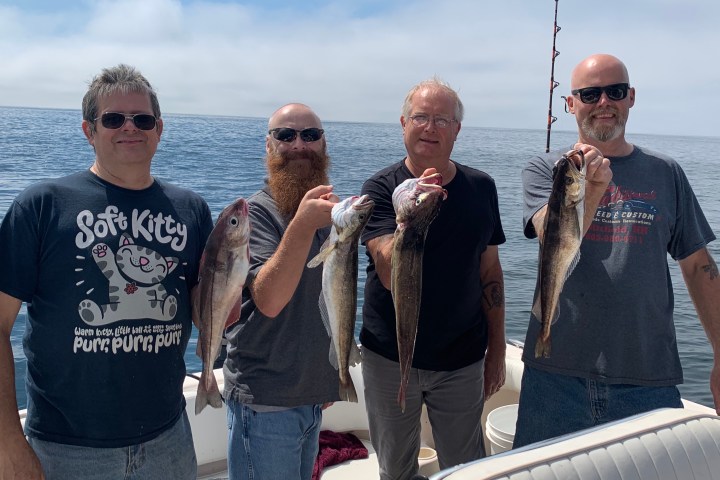 Four men on a boat holding fish, smiling at the camera.